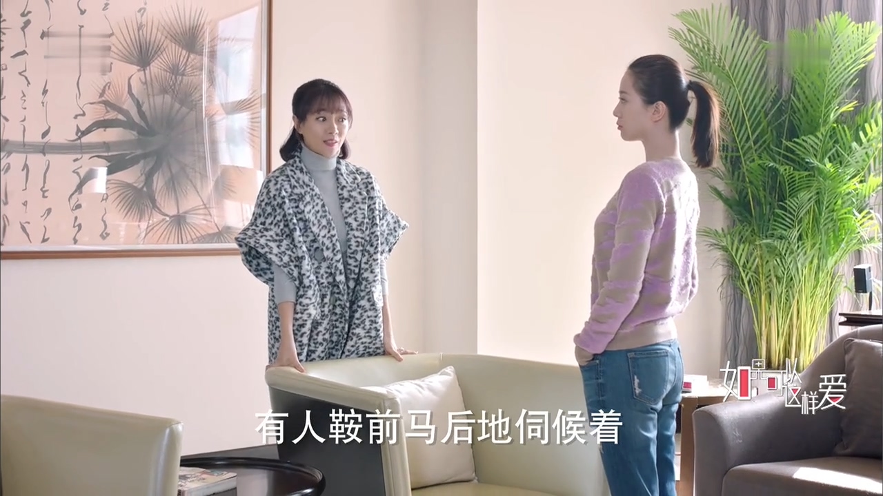 看电视学成语，场景化更好记：2019年《如果可以这样爱》第09集