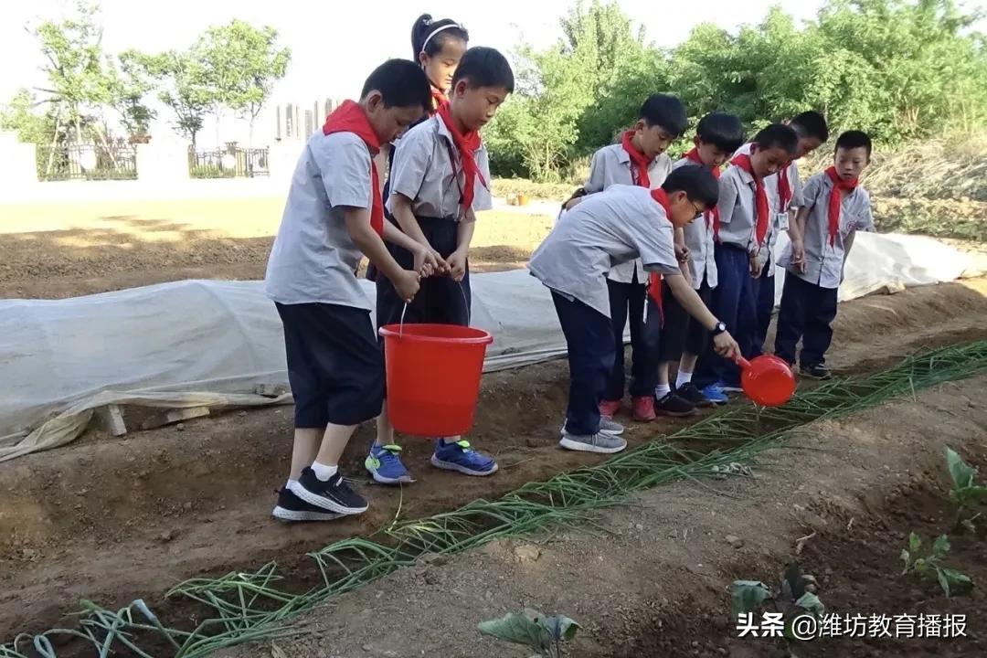 昌乐北大公学2019级毕业典礼,潍坊昌乐北大公学学校