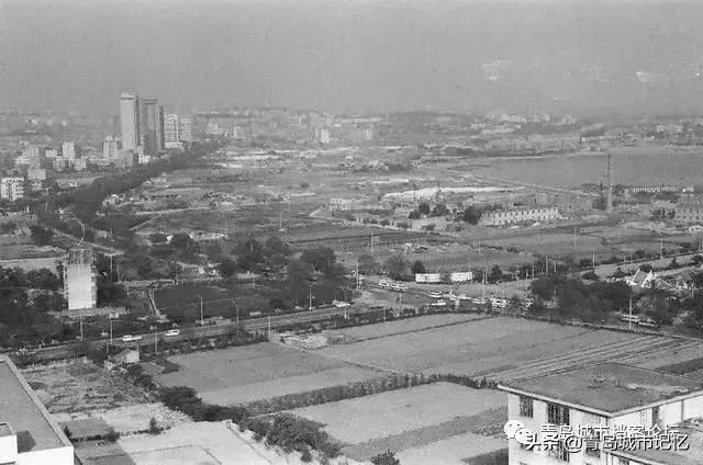浮山湾畔完整版,浮山湾全景