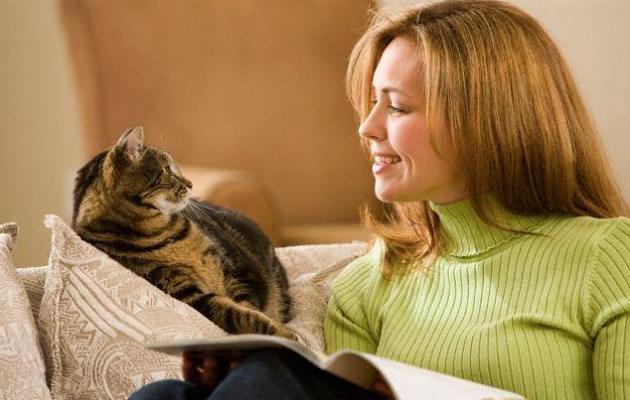 新手养猫必看省钱攻略,新手小白养猫看过来超详细攻略