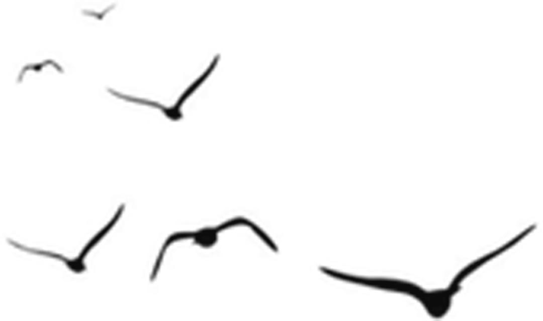 文明校园幼儿园环创,文明校园幼儿园