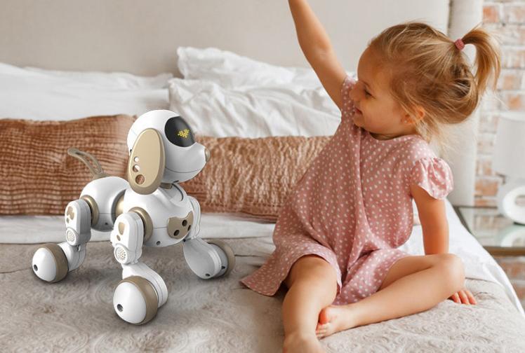 孟宏宇,孟宏宇的视频