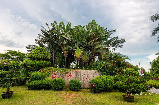 美丽椰城海口夜景,品味海口的韵味感受椰城的魅力