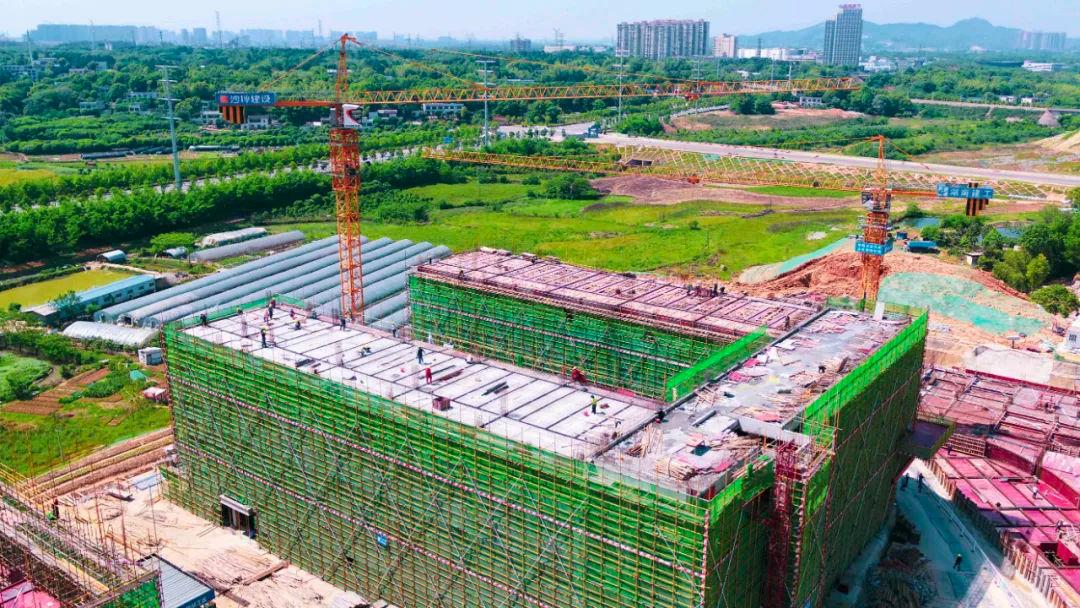 长沙在建和准备建的学校,长沙学校最新规划