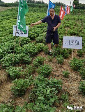 水稻种子需要做哪些处理,水稻种子催芽问题应对