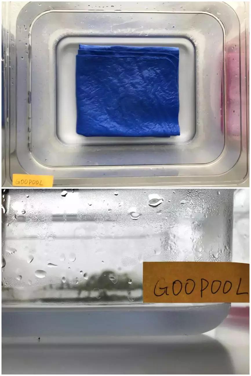 如此残暴的测评路子,这3款某宝销量火爆的宠物浴巾能否hold住?