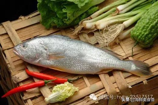 常见的海鲜哪些好吃,比较有营养价值的海鲜