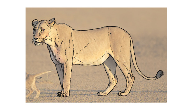 手把手教你如何绘图,绘图基础入门教程