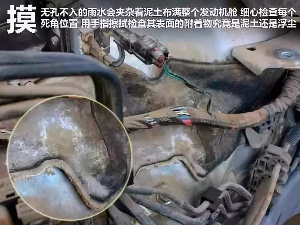 郑州泡水的二手车都去哪里了,泡水车和二手车都去哪里了