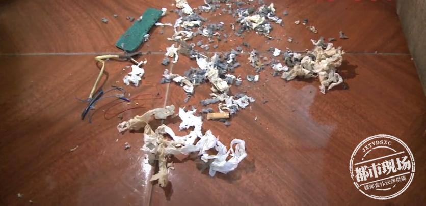 空调线被老鼠咬断维修正常多少钱,租房空调被老鼠咬了怎么办