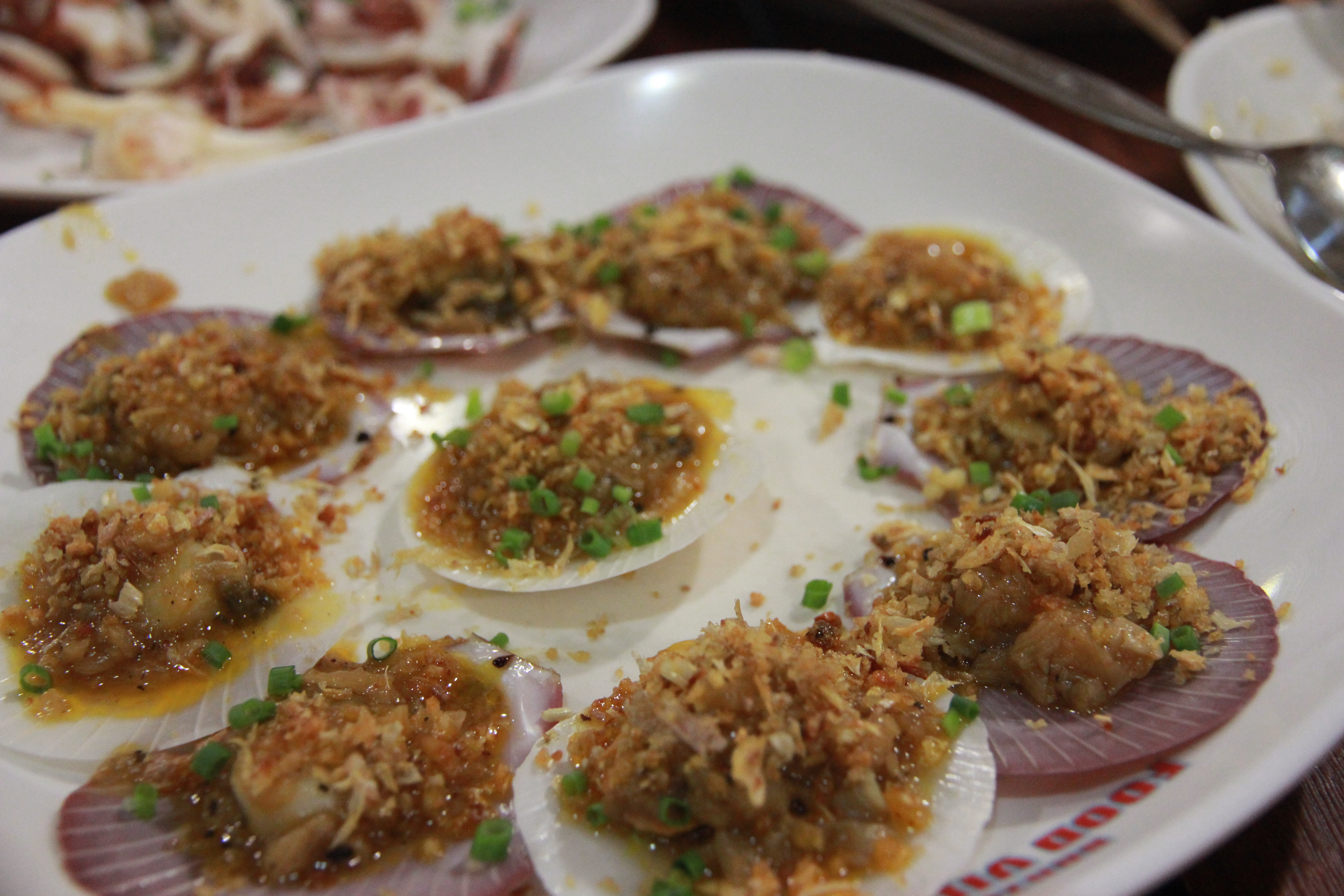 在普吉岛浮潜拍到的美妙海底世界 (普吉岛cape panwa hotel浮潜)