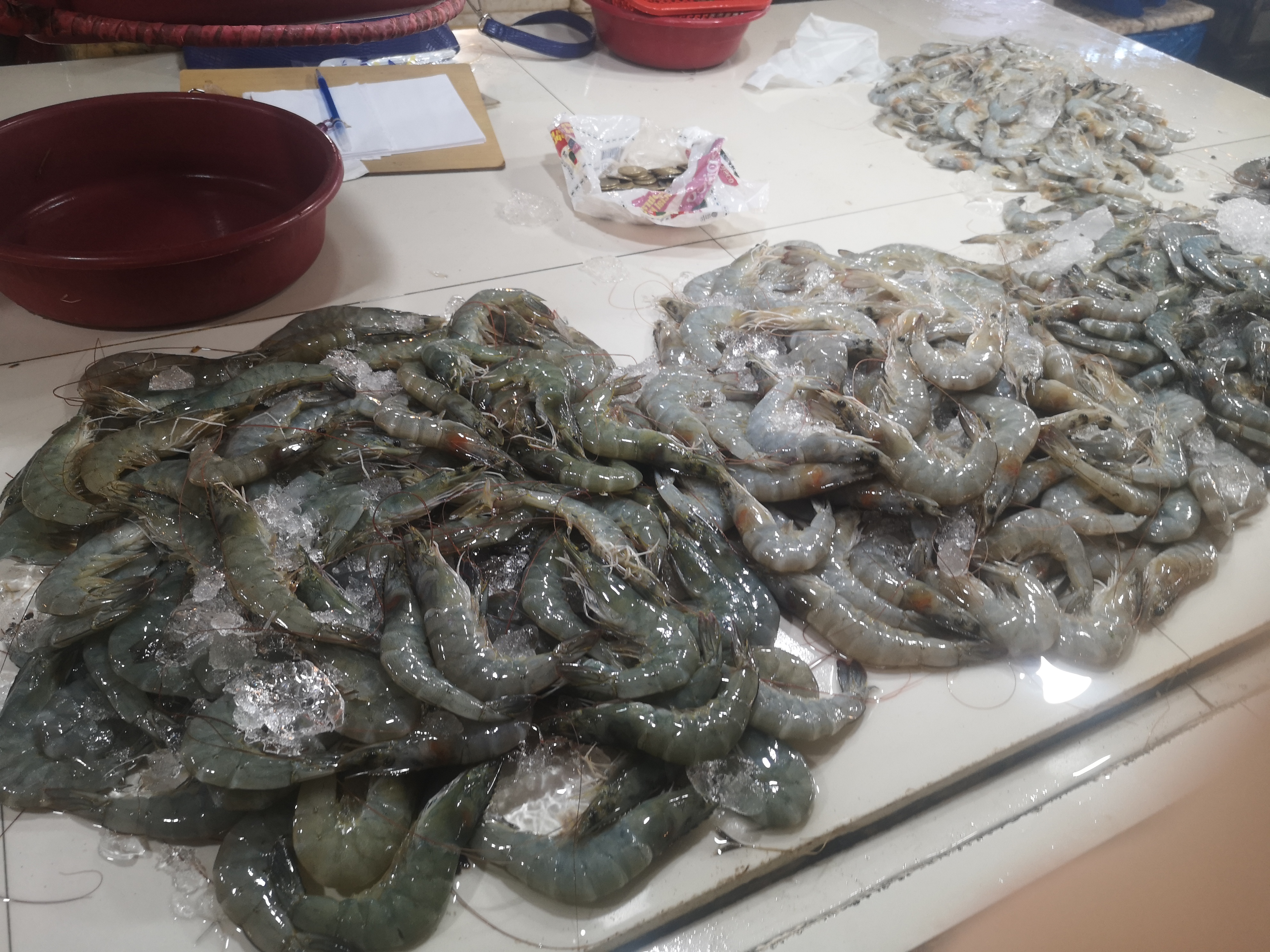 带你看菲律宾的海鲜市场,菲律宾海鲜市场最新行情