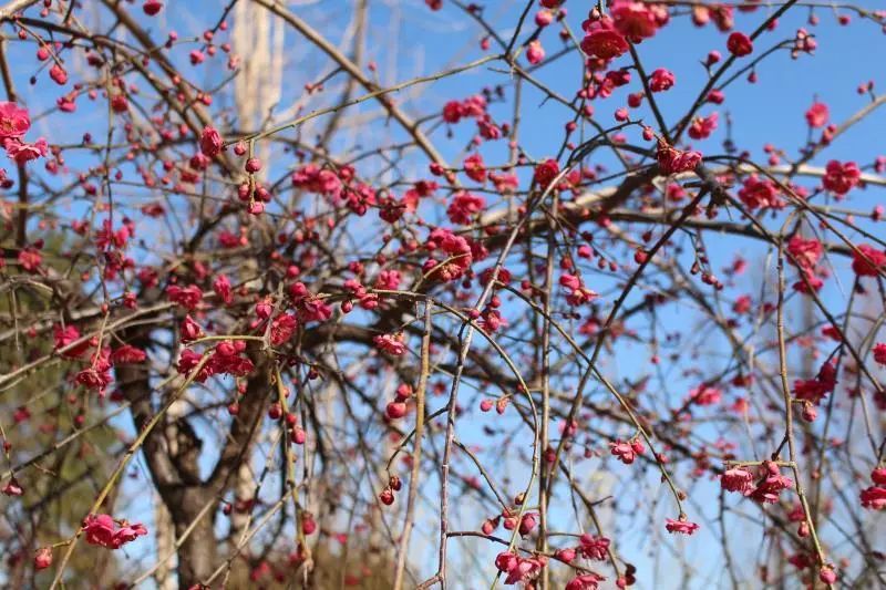 晋城司徒小镇异域风情,晋城皇城相府和司徒小镇