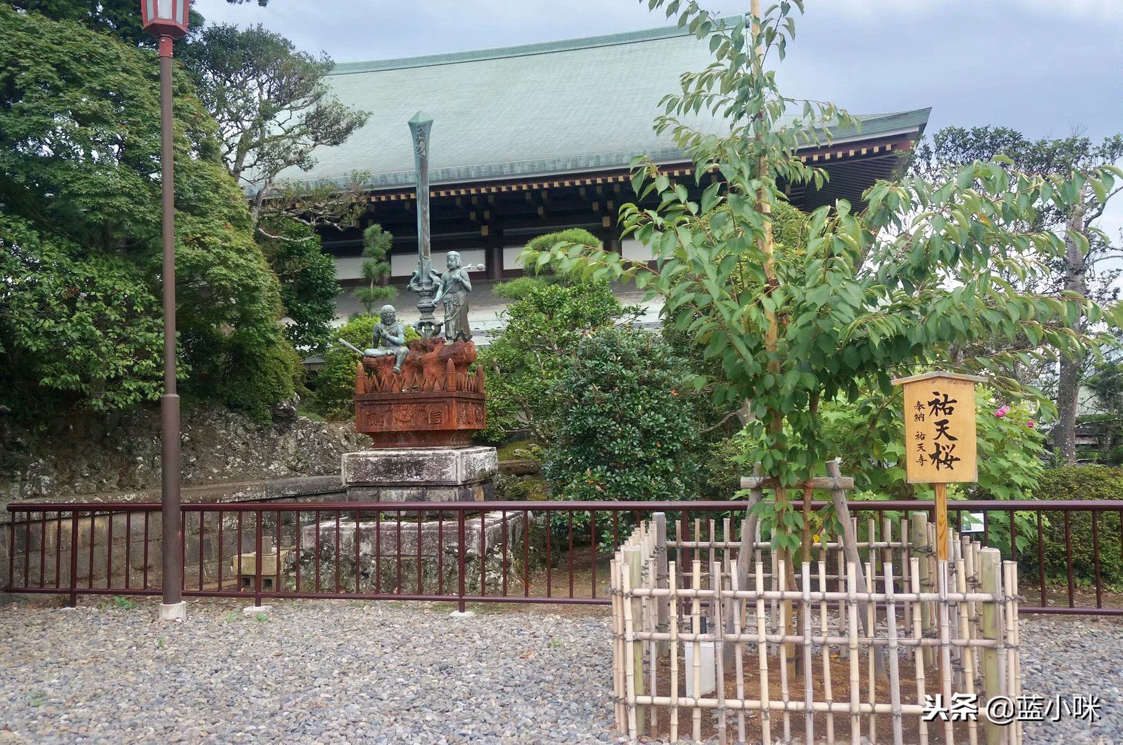 东京富士山镰仓一日游,东京旅游攻略镰仓一日游