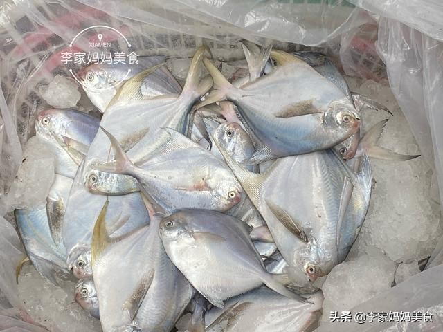 泉州休渔期什么时候结束,泉州休渔期2022时间表