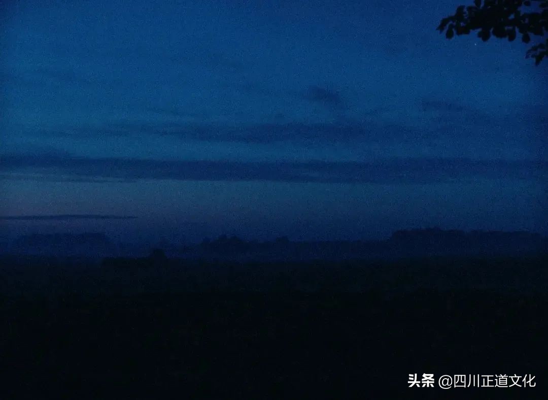 值得看的电影春天,春天的电影名字