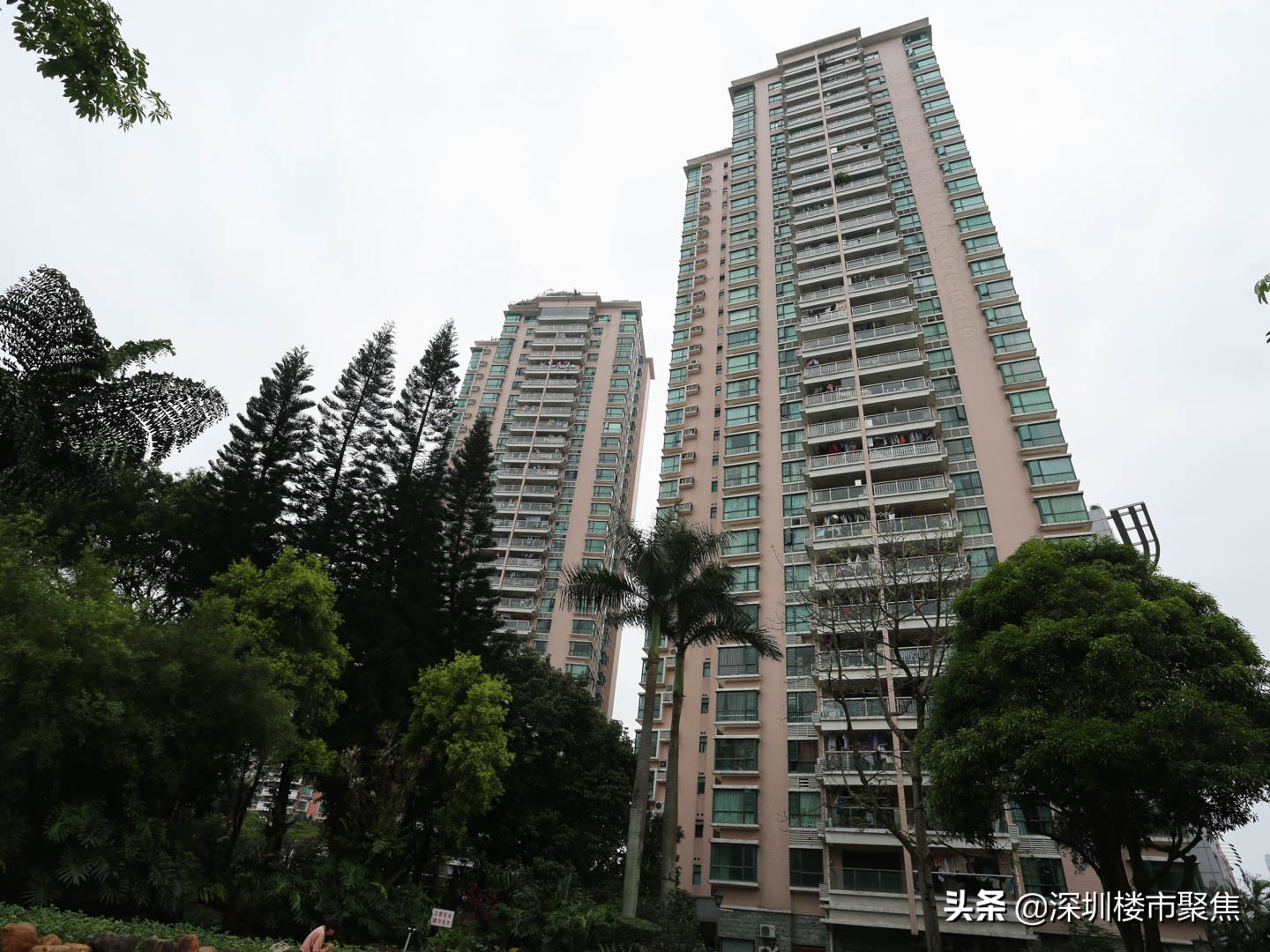 深圳罗湖区有哪些名校,翠园东晓中学在深圳排名