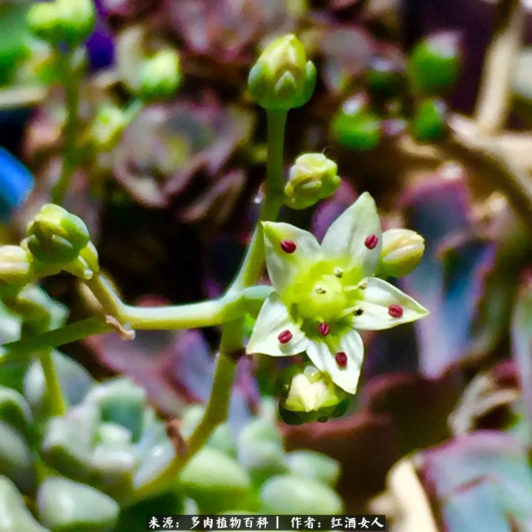 记录走过的美景留下美好的回忆,记录走过的每一段美好时光