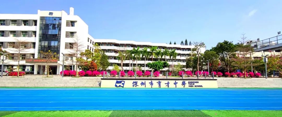 深圳南山名校,深圳蛇口育才教育学校