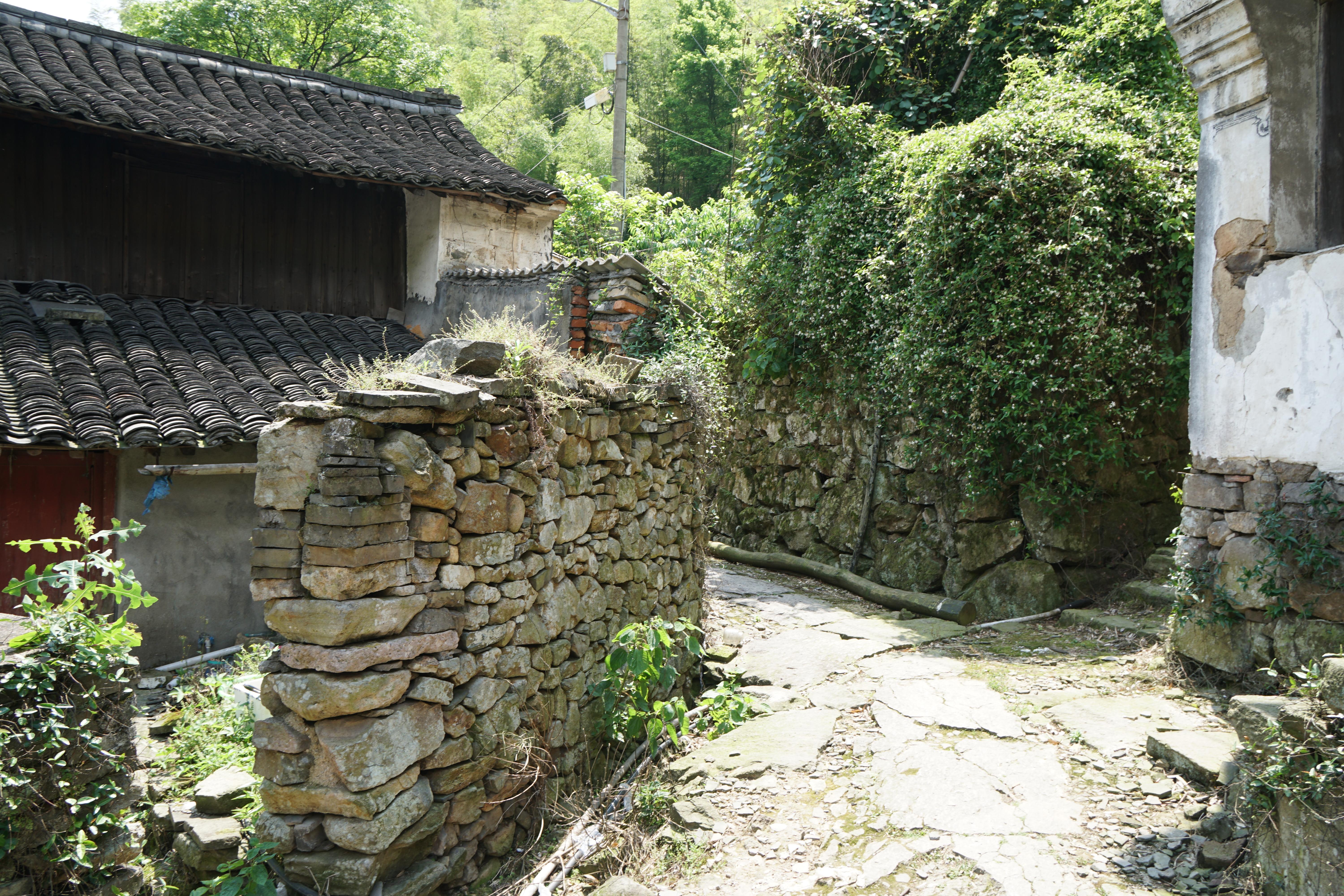 我的故乡在哪里歌词,我的故乡在哪里完整版