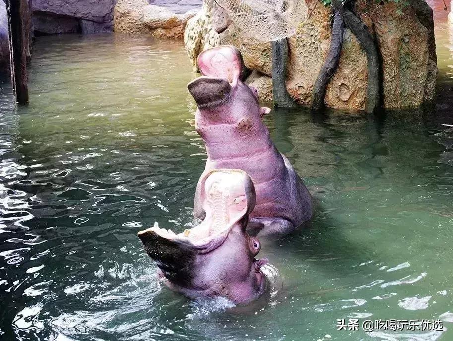 「国庆欢乐提前购」早买优惠！佛山5A长鹿休博园双人套票158元起