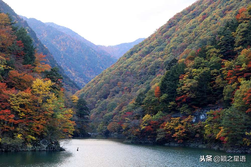 几千块的日本电饭煲,国产锅日本锅