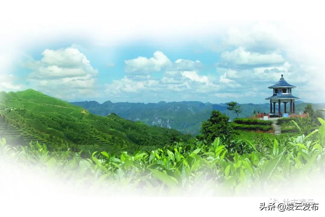 举报非法入境网上可以举报吗,举报非法入境人员有奖吗