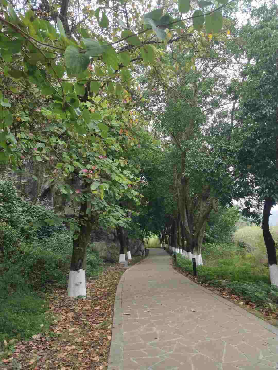 情知不久须相见，一日甚三秋，愁来不自由。‖马坝人遗址公园