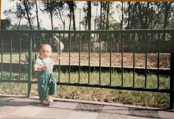 成都同根生,成都北门对比南门