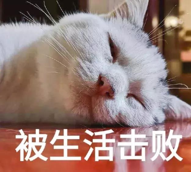 津南发展最新消息,津南疫情爆发播报