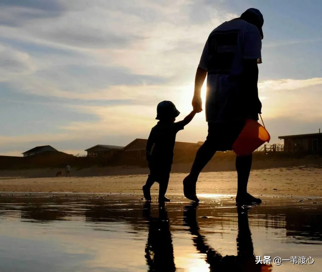 爸爸的爱在哪里视频,爸爸的爱藏在什么地方