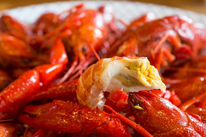 肺吸虫最明显的症状,什么是肺吸虫