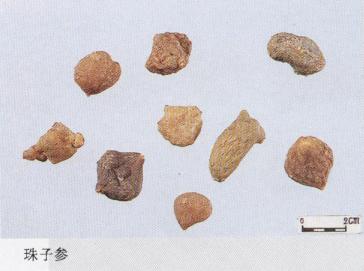 教你怎么辨别真假三七粉,真假三七粉教你三招