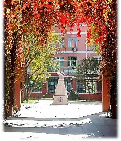 天津市高级中等学校,天津市天津中学高考录取率