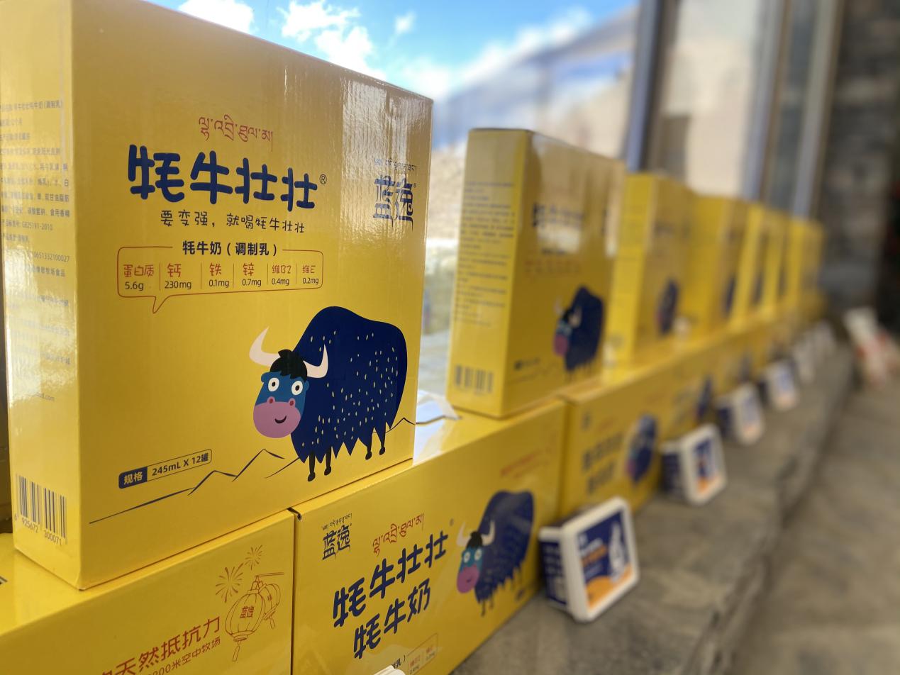 发展牦牛产业助力乡村振兴,牦牛产业升级惠及当地农牧民