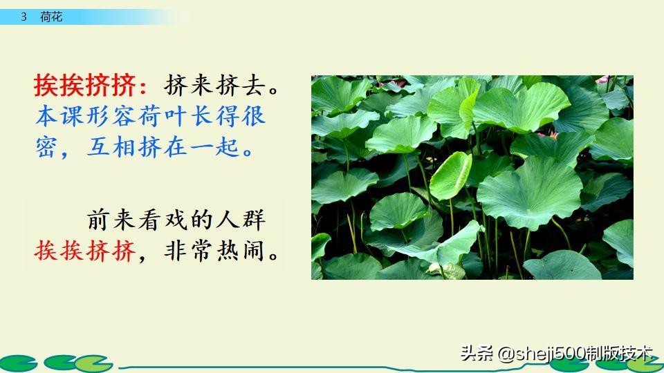 部编版三年级下册语文3荷花讲解,三年级下册部编语文荷花教学视频