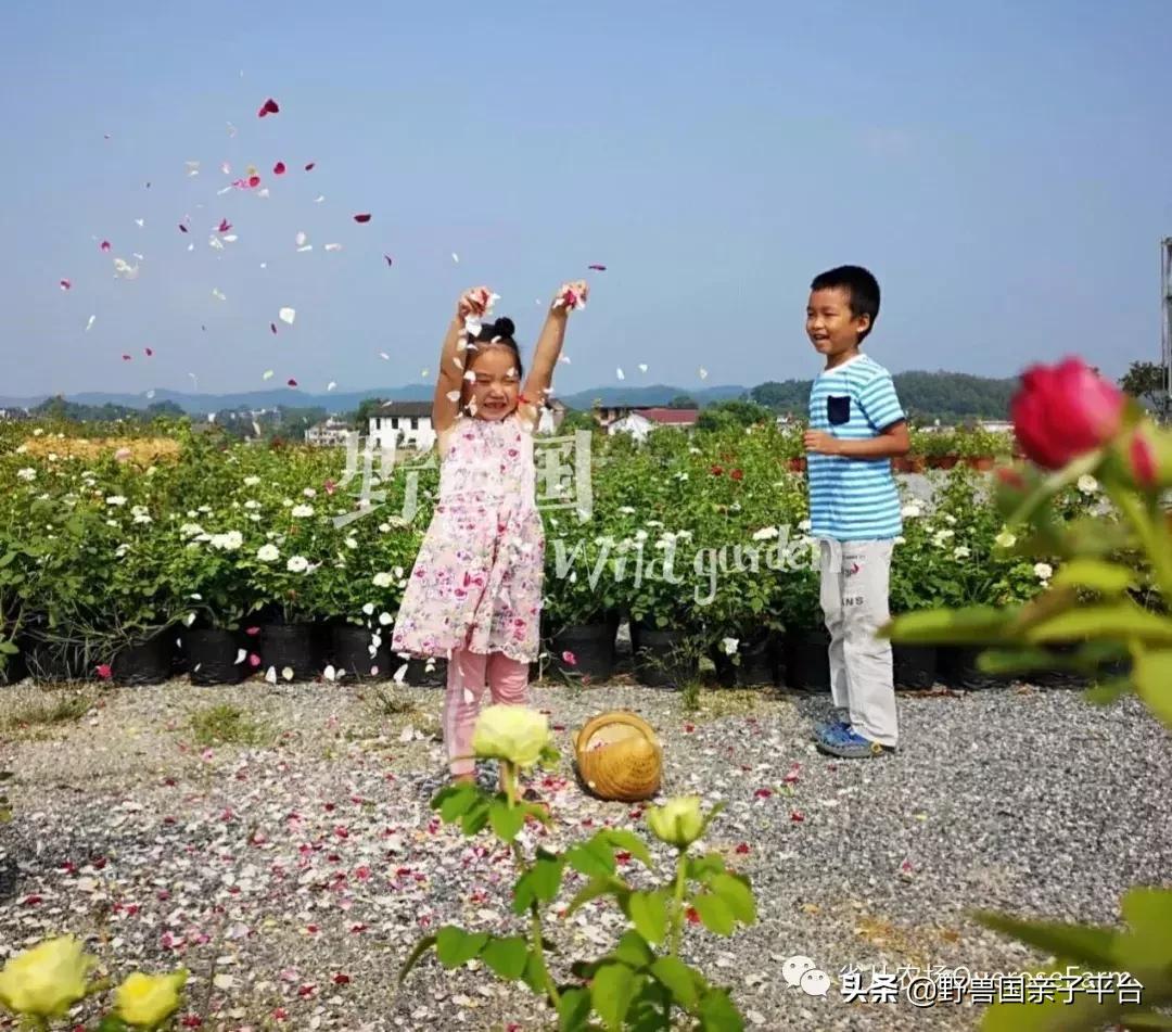 聪明妈妈给孩子的暑假计划,妈妈和孩子探讨暑假规划