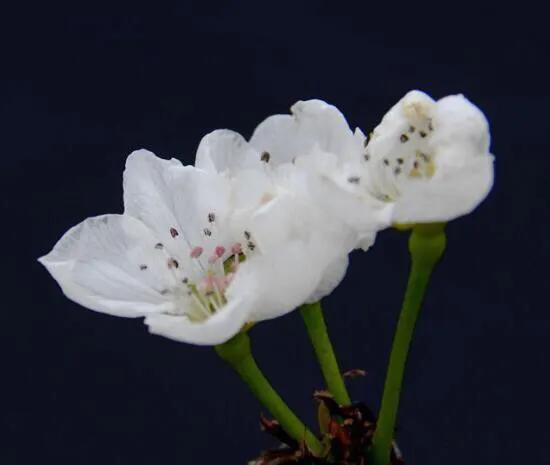 一段感情让你变得自卑又自负,因为自卑所以爱和伤害都是加倍的