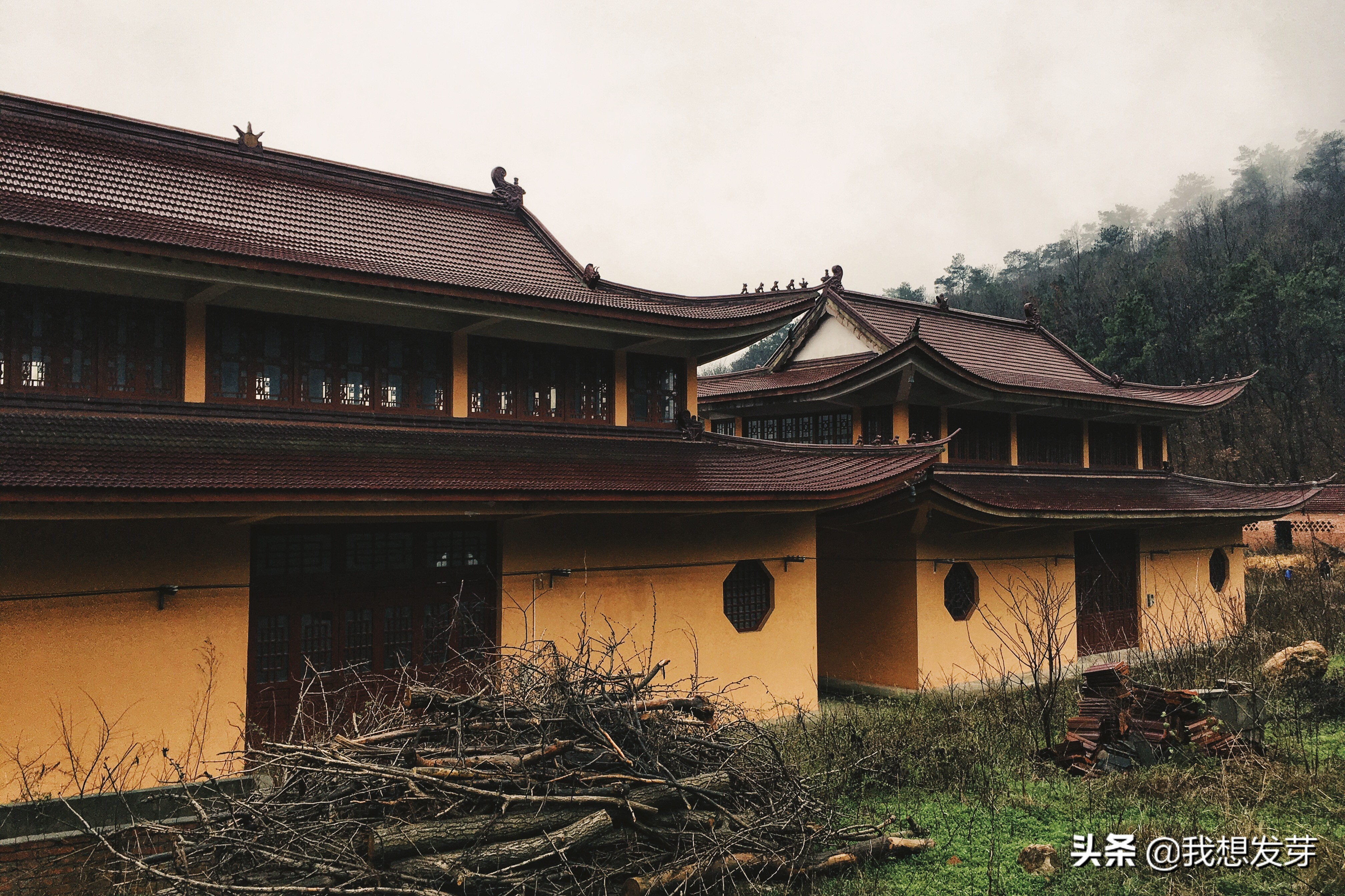 南京浦口隆兴寺简介,南京小众美景闲逛