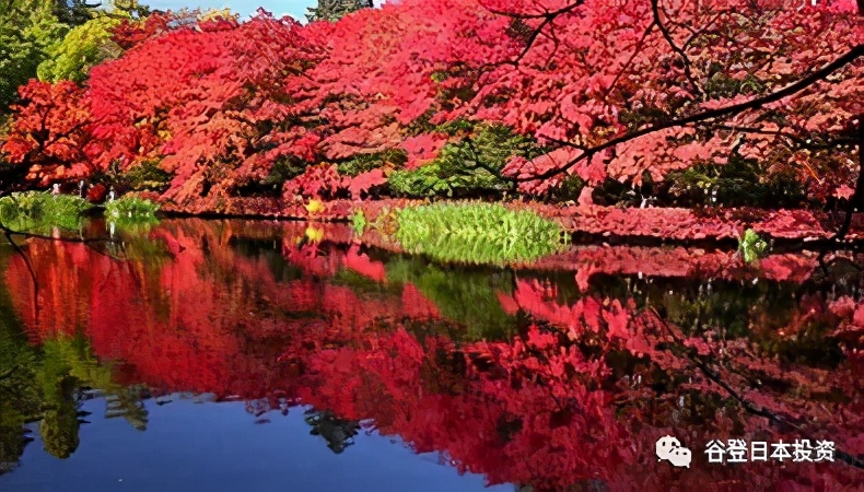 「谷登知识星球」浴衣、烟火，在祭奠中拥抱夏日吧