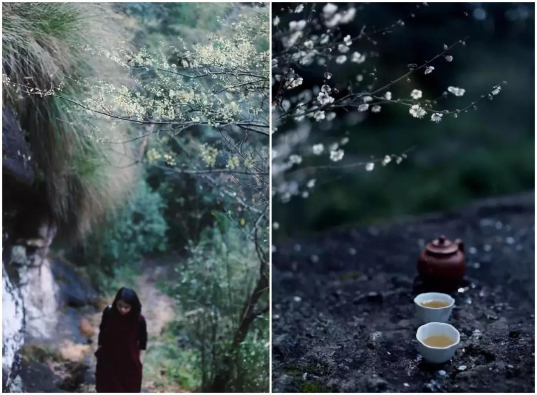 武夷山亲子民宿推荐独栋别墅,武夷山风景区民宿推荐价格表