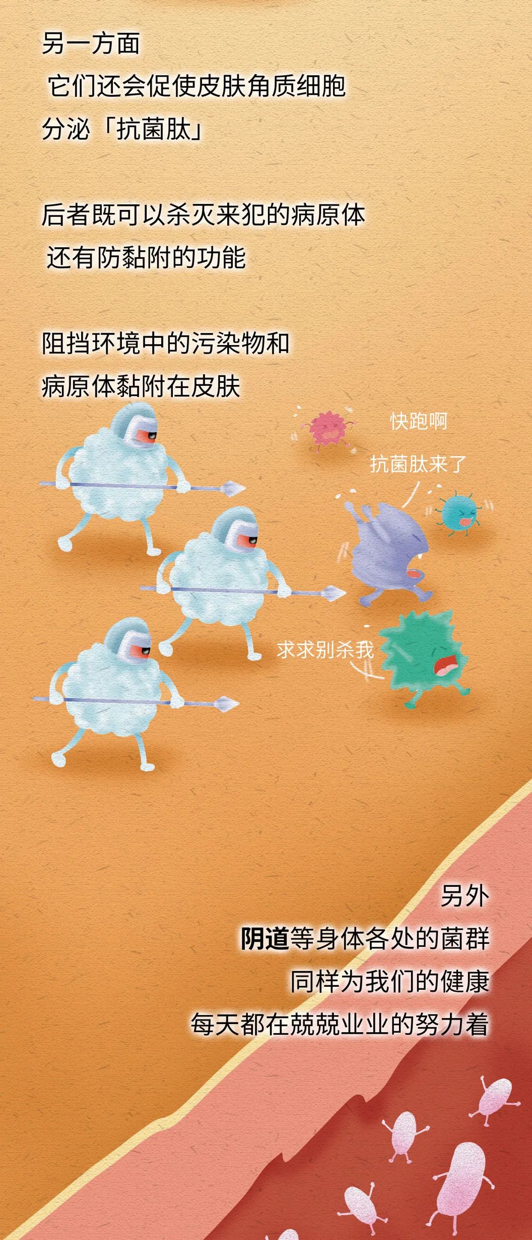 抑菌产品有哪些,长期使用抑菌产品的危害