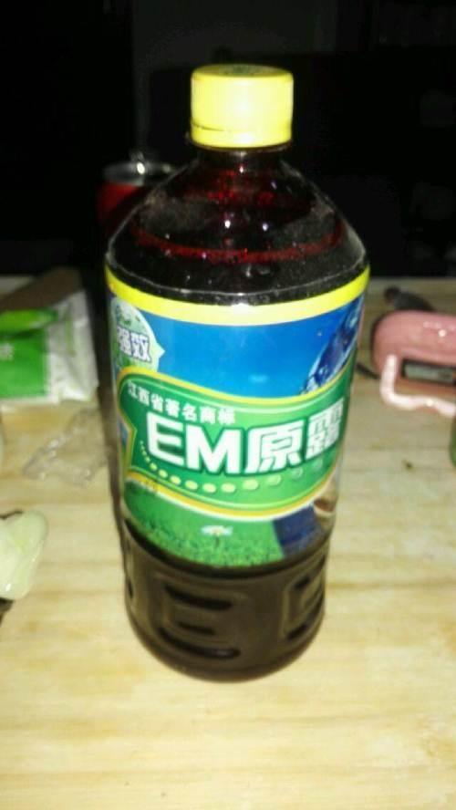 酸奶兑水硝化细菌,老酸奶培养硝化细菌