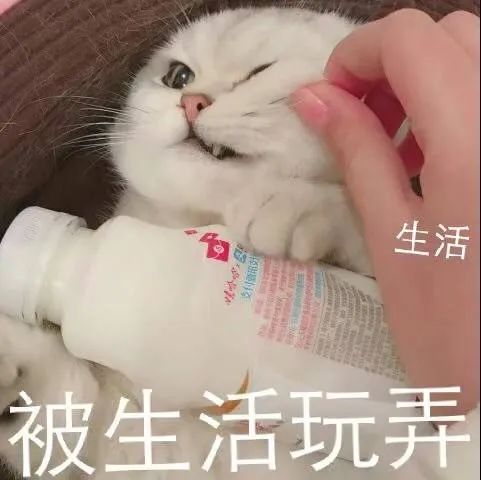 黄记煌肯德基,黄记煌肯德基现状