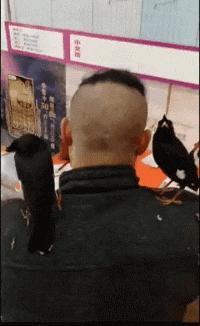 电梯里的妹子通常咋启齿搭讪比力好啊？哈哈