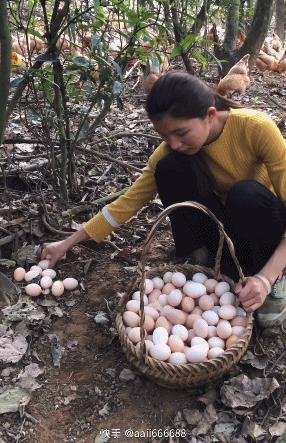 电视剧都拍不出来的效果,电视剧都拍不出来的剧情
