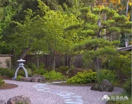 庭院树石盆景 (日式石头盆景布局)