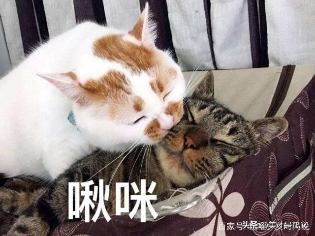 显白口红推荐香奈儿,显白姨妈色纪梵希