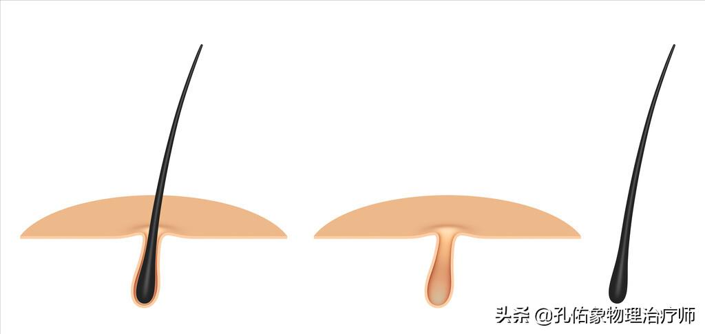 老年人白发转黑发有什么预兆,中老年长白发好吗