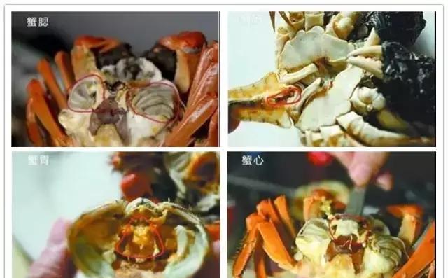 汕尾人吃海鲜,原来海边人是这样吃海螺的